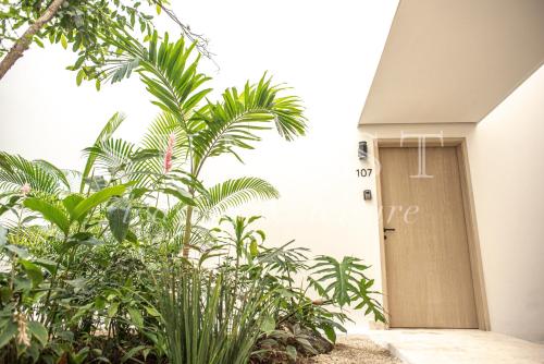 ein Flur mit Pflanzen vor einem Gebäude in der Unterkunft Hunab Tulum in Tulum