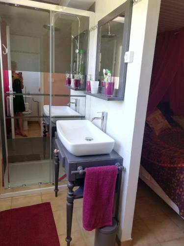 une salle de bain avec un lavabo et une douche dans l'établissement UN AVANT GOUT DU NIRVANA, à Canet