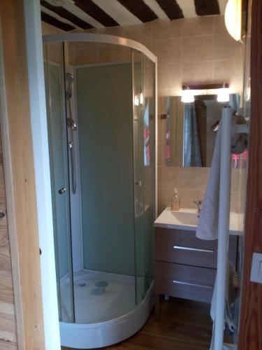 a shower with a glass door in a bathroom at Ferme Racine in Jausiers