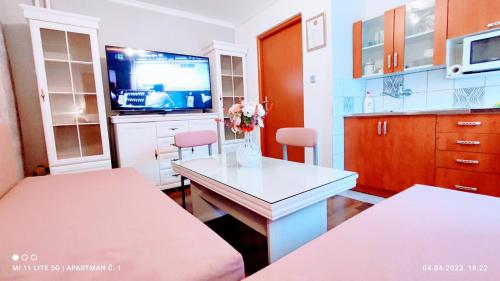 Penzion Pohoda - apartmány في جيسينيك: غرفة فيها طاولة وتلفزيون