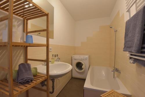 索內貝格的住宿－Ferienwohnungen Sonneberg，一间带水槽和洗衣机的浴室
