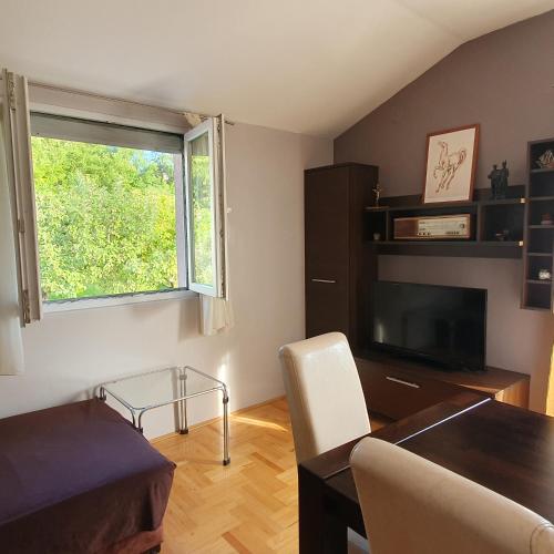 Μια τηλεόραση ή/και κέντρο ψυχαγωγίας στο Apartman Neva