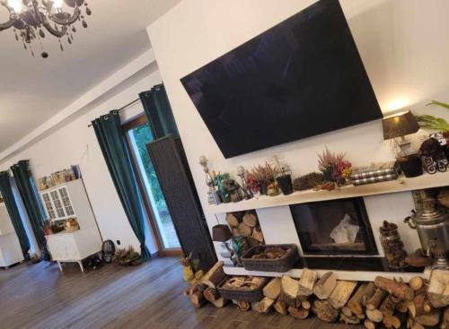 a living room with a fireplace and a flat screen tv at Agroturystyka Głuchowskie Specjały in Głuchów