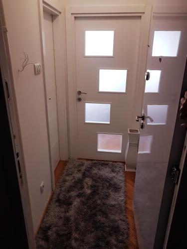 a hallway with a door and a rug at Emili apartment in Belgrade