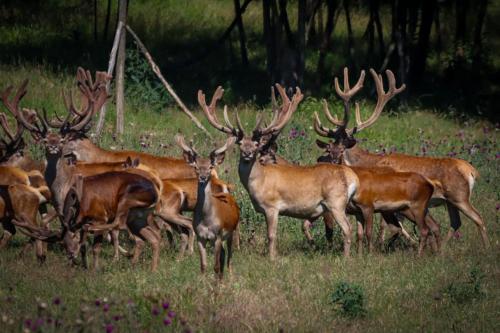 Φωτογραφία από το άλμπουμ του TERRA penzión σε Jasová