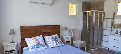 een slaapkamer met een bed met 2 kussens en een douche bij villa de campagne à 15 minutes de la mer in LʼÉglise