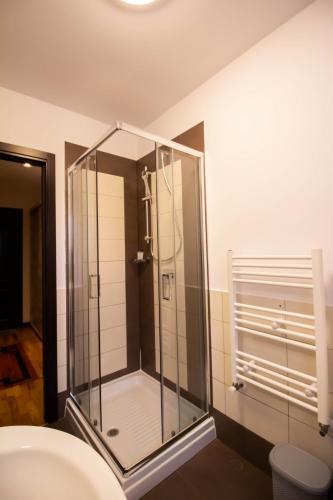 een glazen douche in een badkamer met een toilet bij Berghaus Bucovina in Câmpulung Moldovenesc