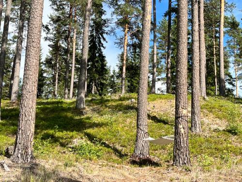 a frisbee is sitting between two trees in a forest at Röda Stugan in Likenäs