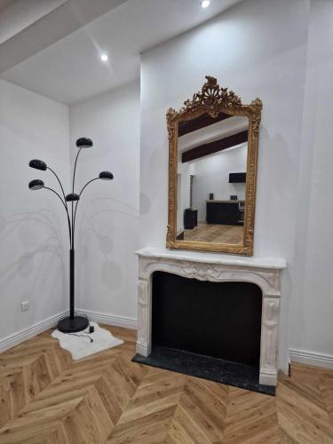 - un salon avec un miroir et une cheminée dans l'établissement Royal Univers Appart', à Bessan