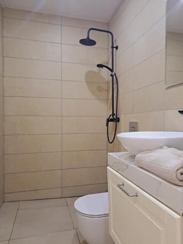 y baño con aseo, lavabo y ducha. en Estate Franca Wine and Olive oil en Koper