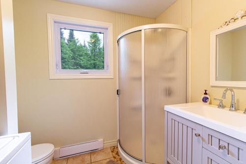 W łazience znajduje się prysznic, umywalka i toaleta. w obiekcie Les Chalets Tourisma - Chalet au bord de l'eau avec spa et foyer - Le Draveur w mieście Saint-Raymond