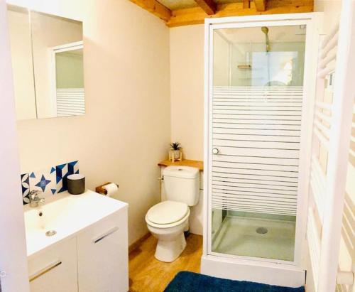 une salle de bain avec toilettes et douche en verre dans l'établissement Studio à Anglet très lumineux avec jardinet, à Anglet