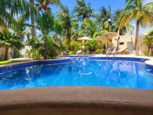 a swimming pool in a resort with palm trees at Mayan Mittoz in Holbox Island