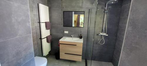 ein Bad mit einer Dusche und einem Waschbecken in der Unterkunft Superior Familiekamer 4 personen OF Privékamer 2 personen in Anna Paulowna