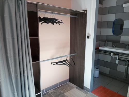 a bathroom with a shower door with a spider sculpture at Couleur pastel in Saint-Louis
