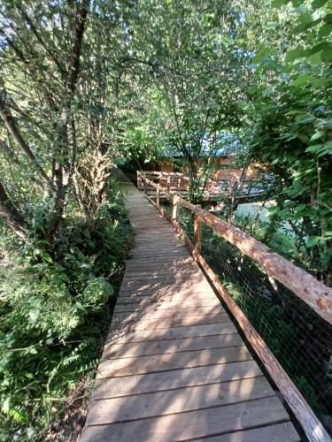 a wooden bridge over a body of water with trees at IRATIKO KABIAK in Orbaiceta