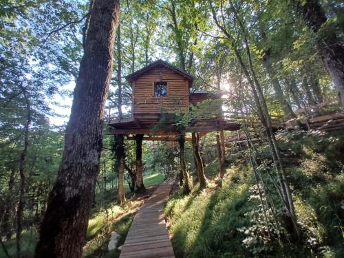 a tree house in the middle of a forest at IRATIKO KABIAK in Orbaiceta