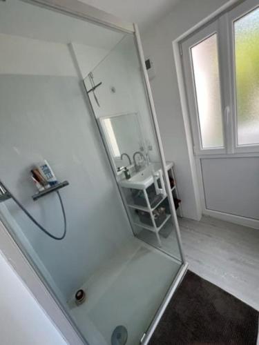 une douche en verre dans une salle de bain avec un lavabo dans l'établissement Maison typique - Crève-coeur, à La Bernerie-en-Retz