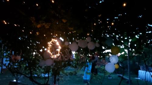 eine Gruppe von Menschen, die unter einem Baum mit Ballons stehen in der Unterkunft Vikendica za odmor in Banja Luka