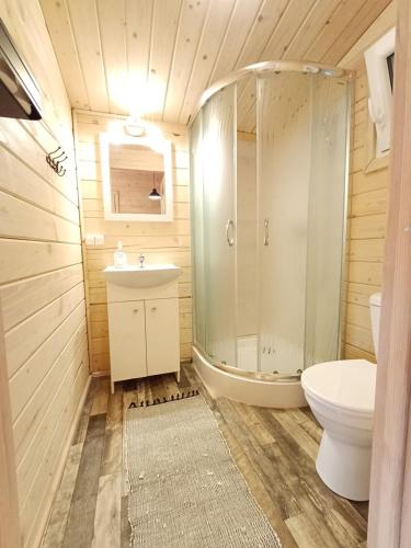 a bathroom with a shower and a sink and a toilet at NA KOŃCU WSI in Ruciane-Nida