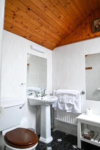 a bathroom with a toilet and a sink and a tub at The Olde Forge B & B in Caherdaniel