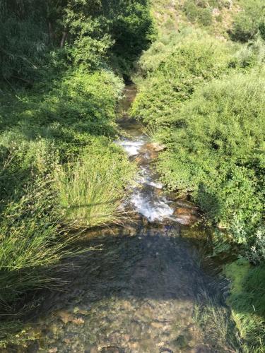 an aerial view of a stream in a field with grass at Apartamento artístico en el centro de Segorbe in Segorbe