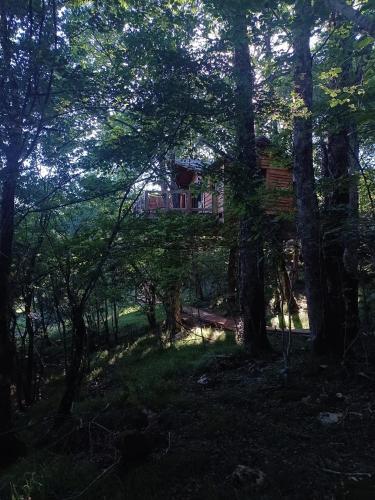a house in the middle of a forest at IRATIKO KABIAK in Orbaiceta