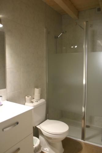 La salle de bains est pourvue de toilettes et d'une douche en verre. dans l'établissement Amistad y convivencia 1, à Barahona