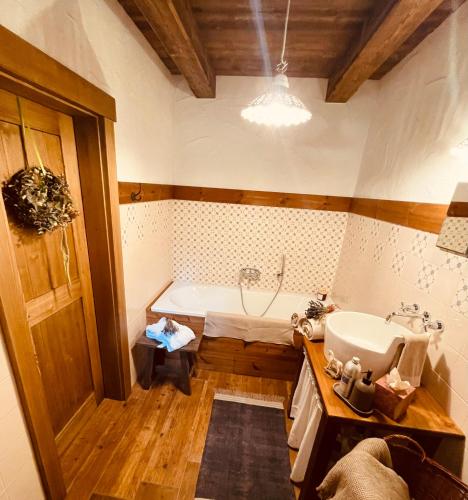 a bathroom with a tub and a sink at Hájenka Libín in Prachatice
