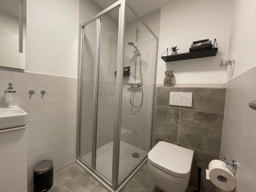 La salle de bains est pourvue d'une douche et de toilettes. dans l'établissement NEU 2023 - Fewo mit Meerblick & Flair, à Harrislee