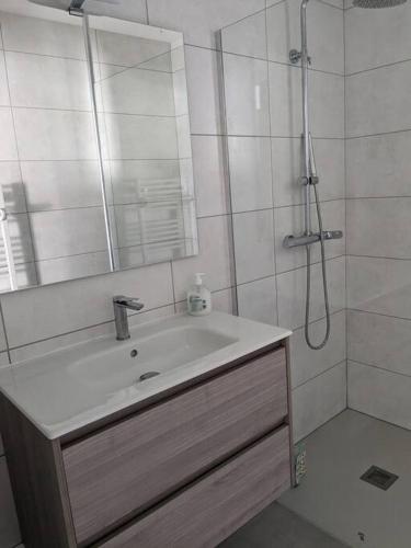 une salle de bain avec un lavabo et une douche dans l'établissement Petite Bulle, à Narbonne
