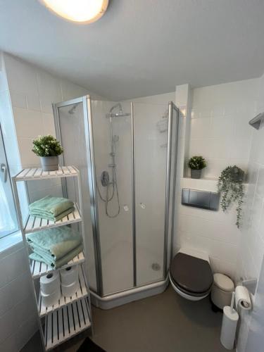 La salle de bains est pourvue d'une douche et de toilettes. dans l'établissement Fachwerkhäuschen, à Melsungen