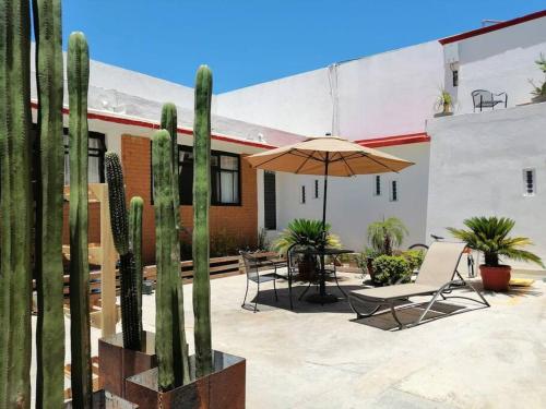 a patio with a table and an umbrella and cactus at Departamento Mariposas in Oaxaca City