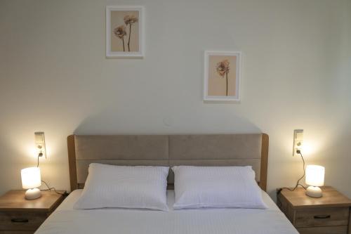 a bedroom with a bed with two lamps on tables at Maison Nikola Kanali in Kanali