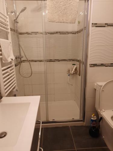 a bathroom with a shower and a sink and a toilet at La hervuerie in La Haye-du-Puits