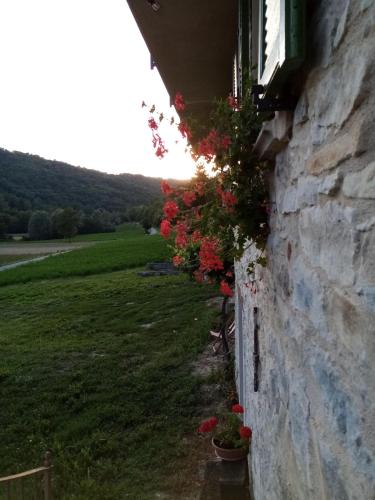 a stone wall with flowers on the side of a building at Casa Andreini in Mombarcaro