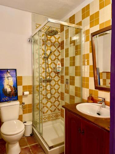 a bathroom with a shower and a toilet and a sink at Casa Amigos - La Viña in Sorvilán