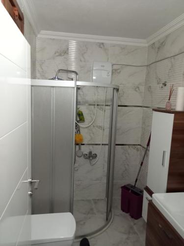 a bathroom with a shower with a glass door at Kulaksız Köşk Villa in Rize