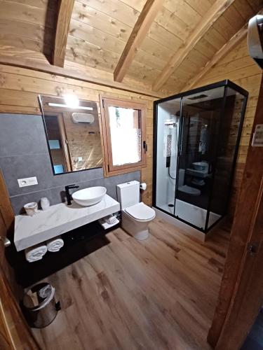 a bathroom with a toilet and a sink and a shower at IRATIKO KABIAK in Orbaiceta