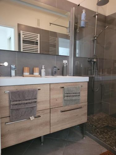 une salle de bain avec un lavabo et un miroir dans l'établissement Appartement Jean Vilar, à Avignon