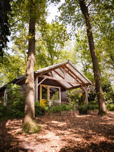 a small house in the woods with trees at Knus boshuisje onder de eiken in Ermelo