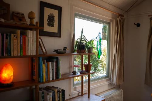 a window in a room with a book shelf with books at Knus boshuisje onder de eiken in Ermelo