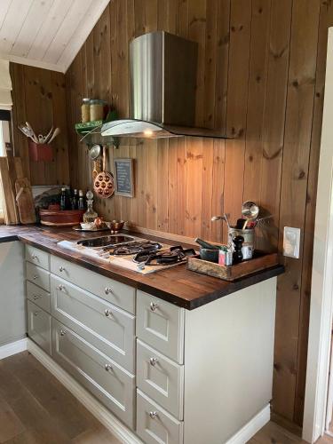 a kitchen with wooden walls and a stove top oven at Luxurious, well-Equipped and modern Cabin by the Cross-Country Ski Trails in Eggedal