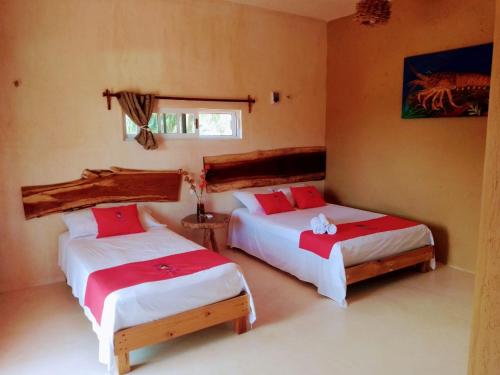 Tribe Beachville – Photos 2