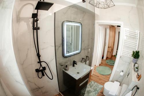 ein Bad mit einem Waschbecken und einem Spiegel in der Unterkunft Cosy apartment Bucovina in Suceava