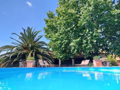 a swimming pool with chairs and trees in the background at Le CAMPAGNE in Beaucaire