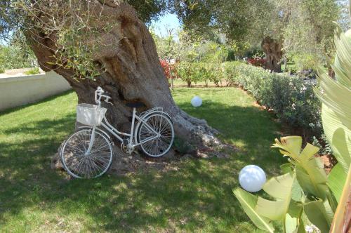 a bike parked next to a tree in a yard at Tenuta Verdolivo in Ostuni