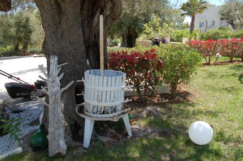 a white chair sitting in front of a tree at Tenuta Verdolivo in Ostuni