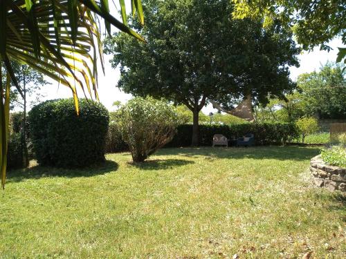 a yard with a bush and a tree at Au Repos in Tréziers