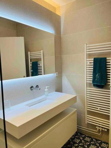 une salle de bain avec un lavabo et un miroir dans l'établissement 2 ch, climatisé, parking, localisation premium, à Lyon